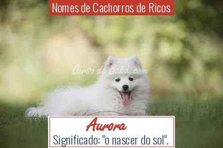 Nomes de Cachorros de Ricos - Aurora