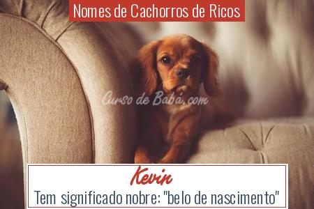 Nomes de Cachorros de Ricos - Kevin