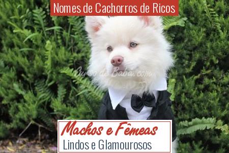 Nomes de Cachorros de Ricos - Machos e FÃªmeas