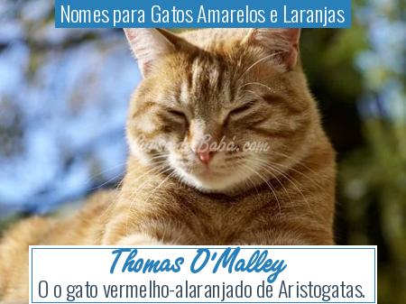 Nomes para Gatos Amarelos e Laranjas - Thomas O'Malley