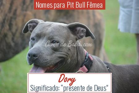 Nomes para Pit Bull FÃÂªmea - Dory