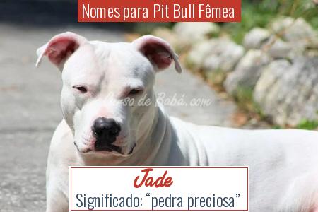 Nomes para Pit Bull FÃÂªmea - Jade